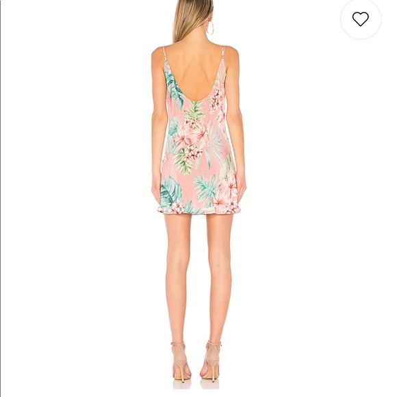 Privacy please Ozark dress in coral palm - Picture 3 of 3